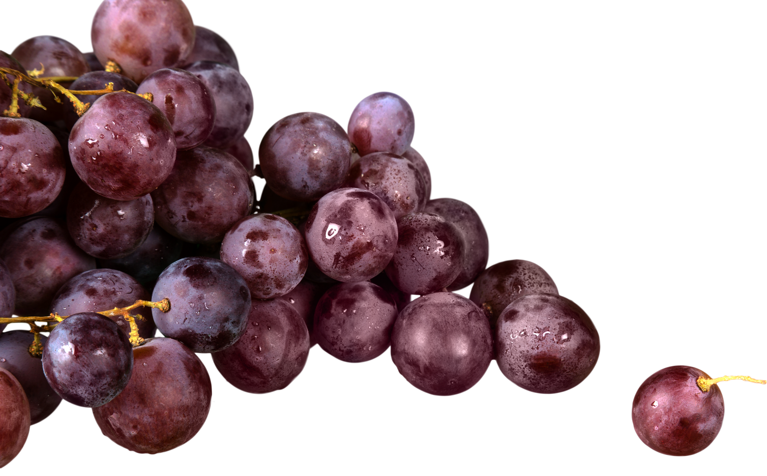 Purple Grape Cluster Close-up 